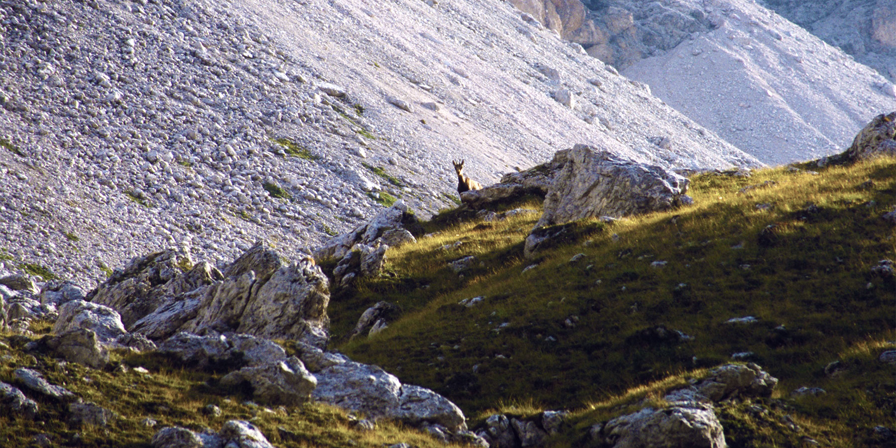 Se ami la montagna ... per aspera ad astra